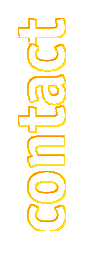 porträt